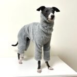 Double-faced Pile High Neck Four-legged jumpsuit Greyhound Clothes