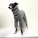Double-faced Pile High Neck Four-legged jumpsuit Greyhound Clothes - Image 4