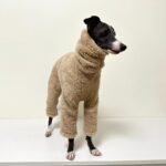 Double-faced Pile High Neck Four-legged jumpsuit Greyhound Clothes - Image 5