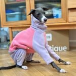Fleece Color-block Windproof Greyhound Clothes - Image 4