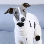 White Polka Dot Fleece Dog Pajamas - Warm High-Neck Jumpsuit for Italian Greyhounds - Image 6