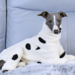 White Polka Dot Fleece Dog Pajamas - Warm High-Neck Jumpsuit for Italian Greyhounds