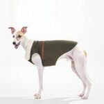 Fleece Jacket Windproof Greyhound Clothes - Image 7