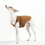 Fleece Jacket Windproof Greyhound Clothes - Image 3