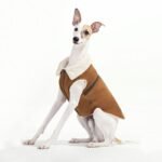 Fleece Jacket Windproof Greyhound Clothes