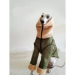 Fleece Pullover design Windproof Greyhound Clothes - Image 5