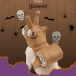 Funny Snail Halloween Pet Costume - Headband & Shell Outfit for Corgis & Small Dogs