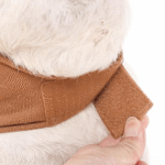 Funny Snail Halloween Pet Costume - Headband & Shell Outfit for Corgis & Small Dogs - Image 3