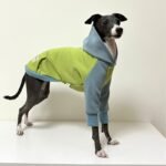 Cotton Color-block With hood Greyhound Clothes - Image 5