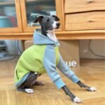 Cotton Color-block With hood Greyhound Clothes - Image 2