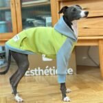 Cotton Color-block With hood Greyhound Clothes - Image 3