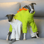 Fleece Monster Outdoor Greyhound Clothes - Image 3