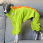 Fleece Monster Outdoor Greyhound Clothes