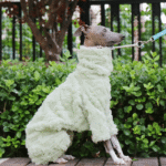 Double-faced Pile High Neck Four-legged jumpsuit Greyhound Clothes - Image 2