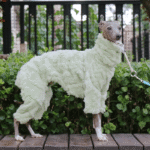 Double-faced Pile High Neck Four-legged jumpsuit Greyhound Clothes