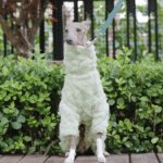 Double-faced Pile High Neck Four-legged jumpsuit Greyhound Clothes - Image 4