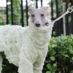 Double-faced Pile High Neck Four-legged jumpsuit Greyhound Clothes - Image 6