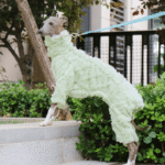 Double-faced Pile High Neck Four-legged jumpsuit Greyhound Clothes - Image 3
