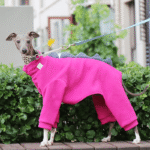 Dinosaur Fleece Jumpsuit - Hot Pink Thermal Pajamas for Whippets & Italian Greyhounds