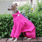 Dinosaur Fleece Jumpsuit - Hot Pink Thermal Pajamas for Whippets & Italian Greyhounds - Image 4