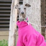 Dinosaur Fleece Jumpsuit - Hot Pink Thermal Pajamas for Whippets & Italian Greyhounds - Image 5