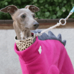 Dinosaur Fleece Jumpsuit - Hot Pink Thermal Pajamas for Whippets & Italian Greyhounds - Image 3
