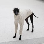 Cotton High Neck Lightweight Fabric Greyhound Clothes - Image 8