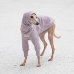 Cotton High Neck Lightweight Fabric Greyhound Clothes