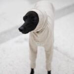 Cotton High Neck Lightweight Fabric Greyhound Clothes - Image 9