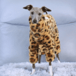 Leopard Print Fleece Dog Pajamas - Warm Four-Legged Jumpsuit for Italian Greyhounds - Image 2