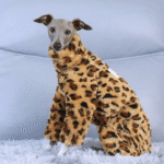 Leopard Print Fleece Dog Pajamas - Warm Four-Legged Jumpsuit for Italian Greyhounds - Image 3