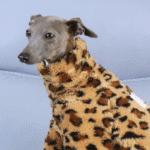 Leopard Print Fleece Dog Pajamas - Warm Four-Legged Jumpsuit for Italian Greyhounds - Image 4