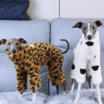 Leopard Print Fleece Dog Pajamas - Warm Four-Legged Jumpsuit for Italian Greyhounds - Image 5