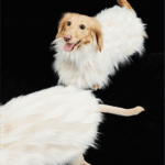 Luxury Shaggy Faux Fur Dog Cape - Warm White Winter Poncho for Italian Greyhounds & Whippets - Image 8