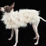 Luxury Shaggy Faux Fur Dog Cape - Warm White Winter Poncho for Italian Greyhounds & Whippets - Image 4