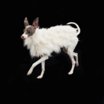 Luxury Shaggy Faux Fur Dog Cape - Warm White Winter Poncho for Italian Greyhounds & Whippets - Image 9