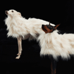 Luxury Shaggy Faux Fur Dog Cape - Warm White Winter Poncho for Italian Greyhounds & Whippets - Image 2