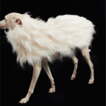 Luxury Shaggy Faux Fur Dog Cape - Warm White Winter Poncho for Italian Greyhounds & Whippets - Image 12