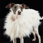 Luxury Shaggy Faux Fur Dog Cape - Warm White Winter Poncho for Italian Greyhounds & Whippets