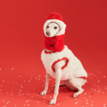 New Year Vest - Red & White Padded Costume for Cats & Small Dogs - Image 2