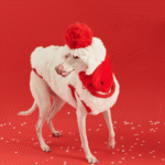 New Year Vest - Red & White Padded Costume for Cats & Small Dogs - Image 4