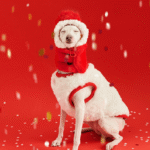 New Year Vest - Red & White Padded Costume for Cats & Small Dogs