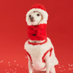 New Year Vest - Red & White Padded Costume for Cats & Small Dogs - Image 6