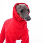 Fleece High Neck Windproof Greyhound Clothes - Image 2