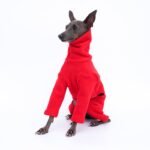 Fleece High Neck Windproof Greyhound Clothes