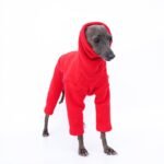 Fleece High Neck Windproof Greyhound Clothes - Image 4