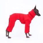 Fleece High Neck Windproof Greyhound Clothes - Image 5