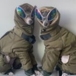 Cotton Pullover design Windproof Greyhound Clothes