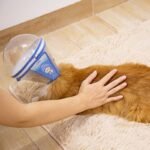 Clear Astronaut Pet Helmet Anti-Bite No-Lick Full Face Muzzle for Small Dogs & Cats - Image 11