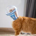 Clear Astronaut Pet Helmet Anti-Bite No-Lick Full Face Muzzle for Small Dogs & Cats - Image 12